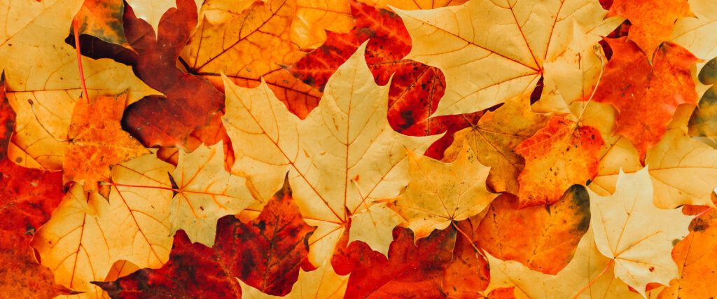 herfstvakantie ijmond