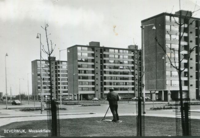 De Schoffelaar en Mozaiekflats