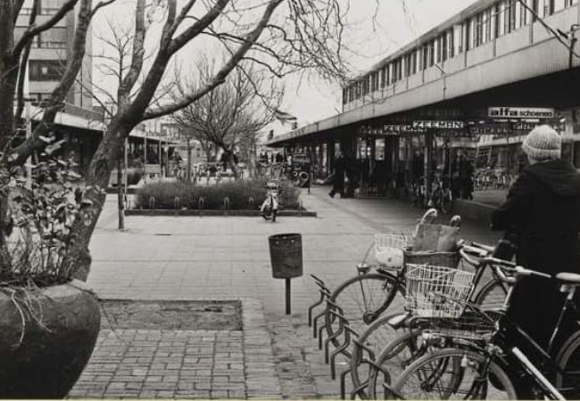 Opening en bloeitijd (jaren 70/80)