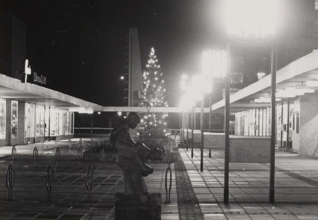 Opening en bloeitijd (jaren 70/80)